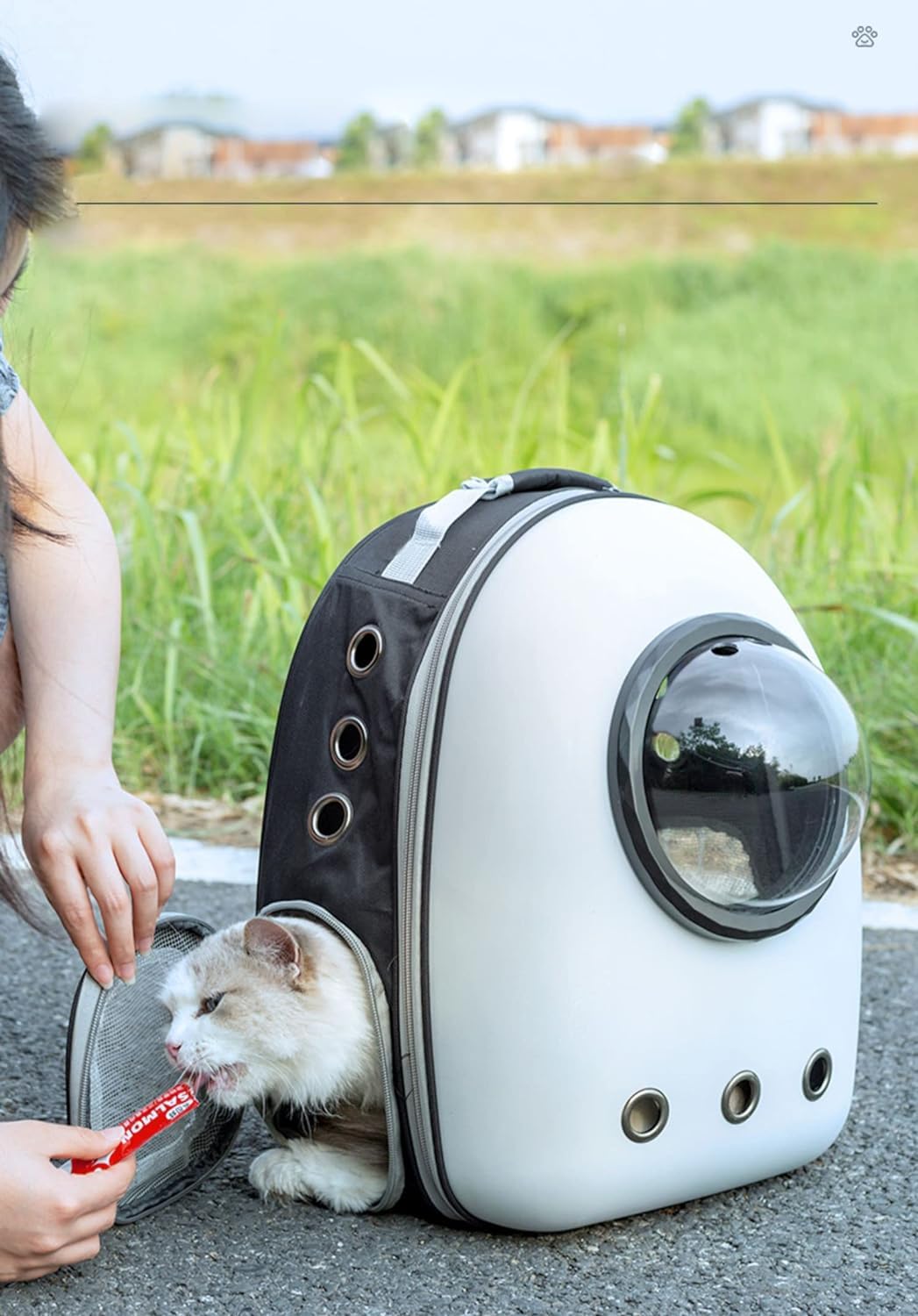 Katzen-Rucksack, Tragetasche, mittelgroße Haustier-Tragetasche für Hundetragetasche, Harter Blasenrucksack, erweiterbar, Reise, Wandern, Rucksack, Welpen, Kuppel