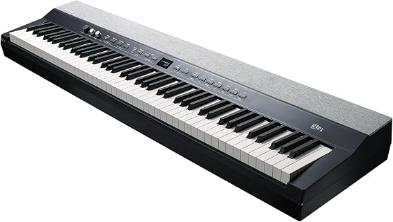 Kurzweil KaP1-88-Key Fully-Weighted Hammer Action Portable Digital Piano with 28 Flagship Voices + Power Supply + Sustain Pedal + ST-C1 Chrome Stand (Black)