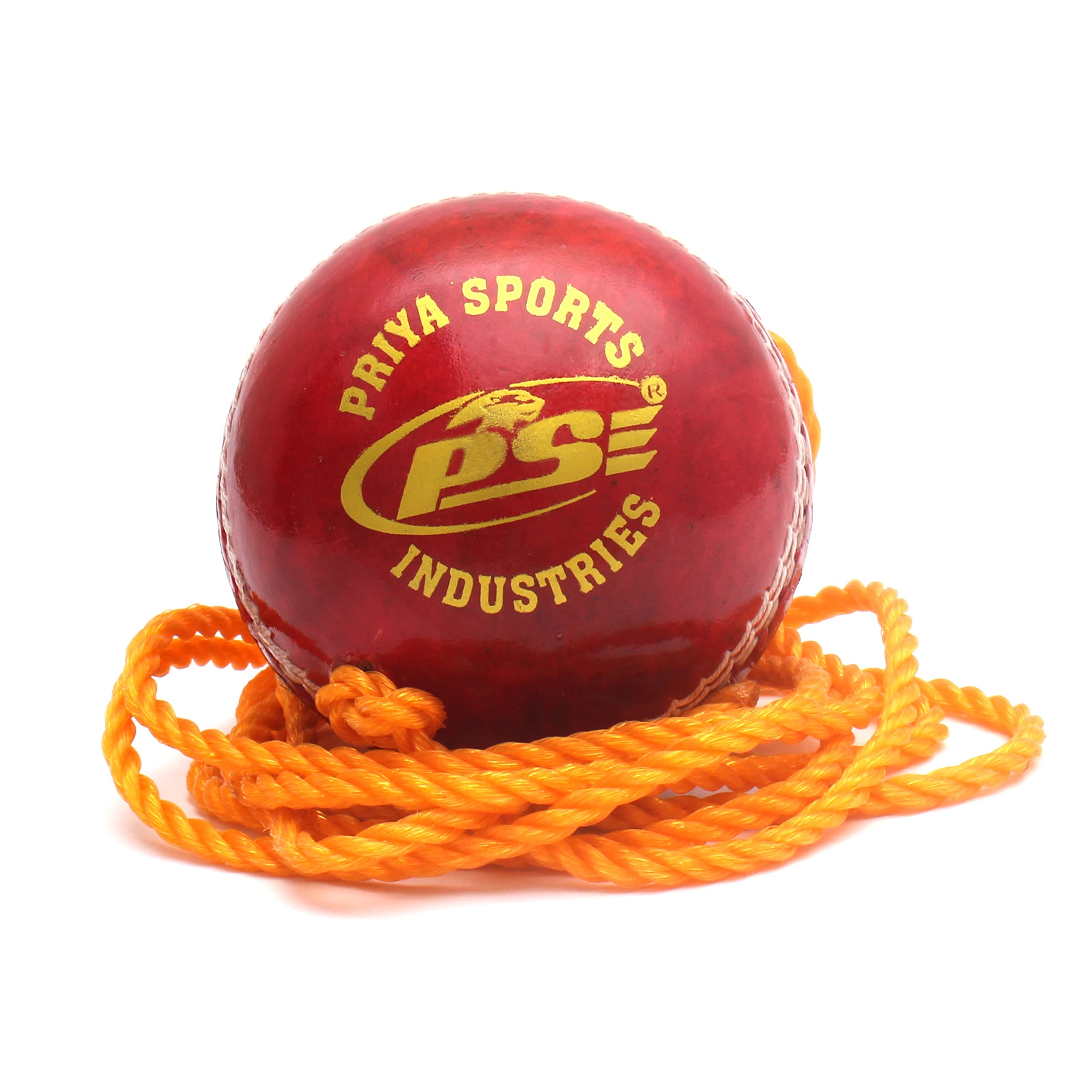 PSE Priya Sports Leather Club Practice Hanging Cricket Ball Red Pack of 6 (B07H9SP8S5) Amazon Price History, Amazon Price Tracker