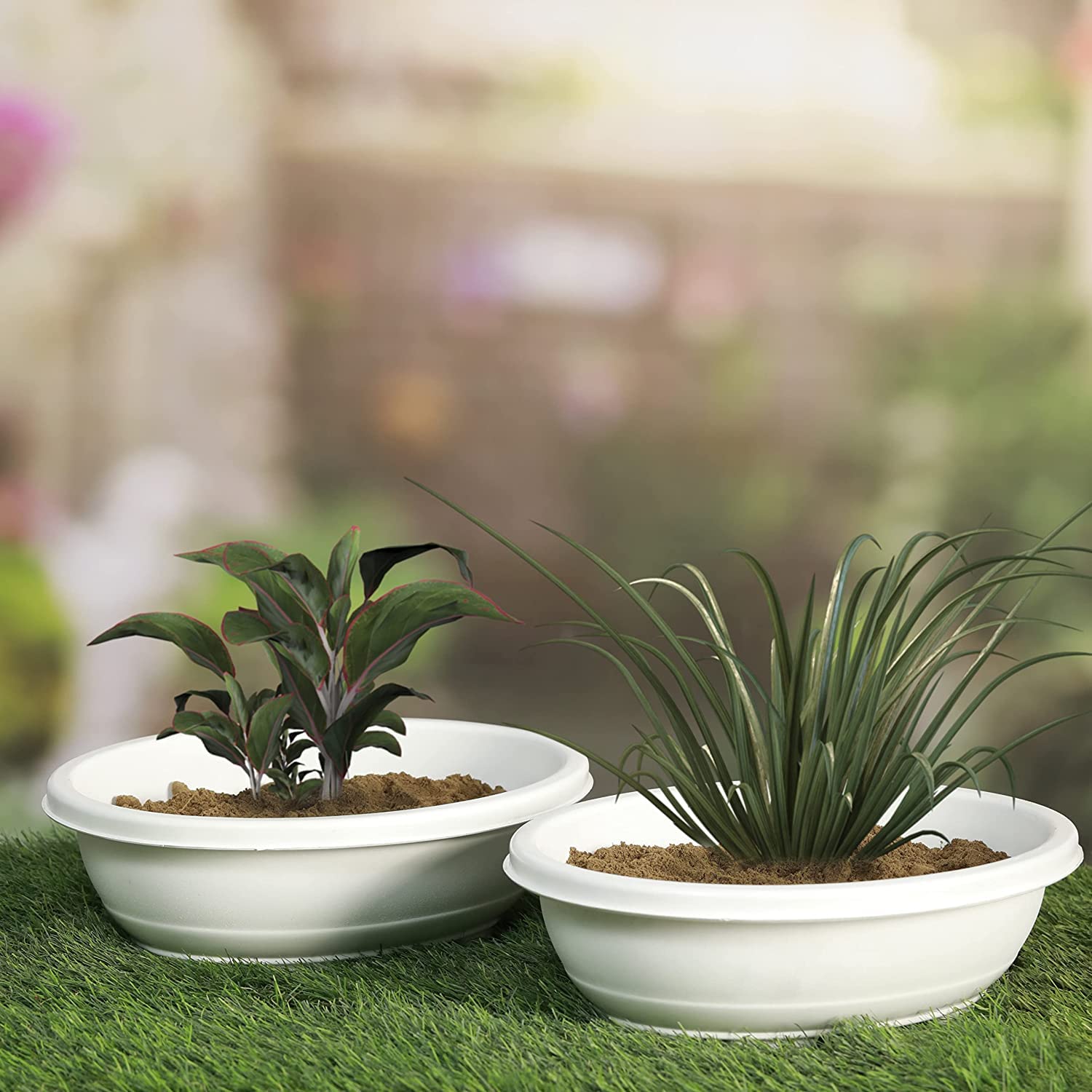 See full amazon price history chart for Varshney Gardening Orchid Online Bonsai Pot White (Oval) 12 Inches Long Dia, 9 Inches Short Dia Set of 2 Varshney Gardening Orchid Online Bonsai Pot White (Oval) 12 Inches Long Dia, 9 Inches Short Dia Set of 2 (B0C5QWCKGF) Amazon Price History, Amazon Price Tracker