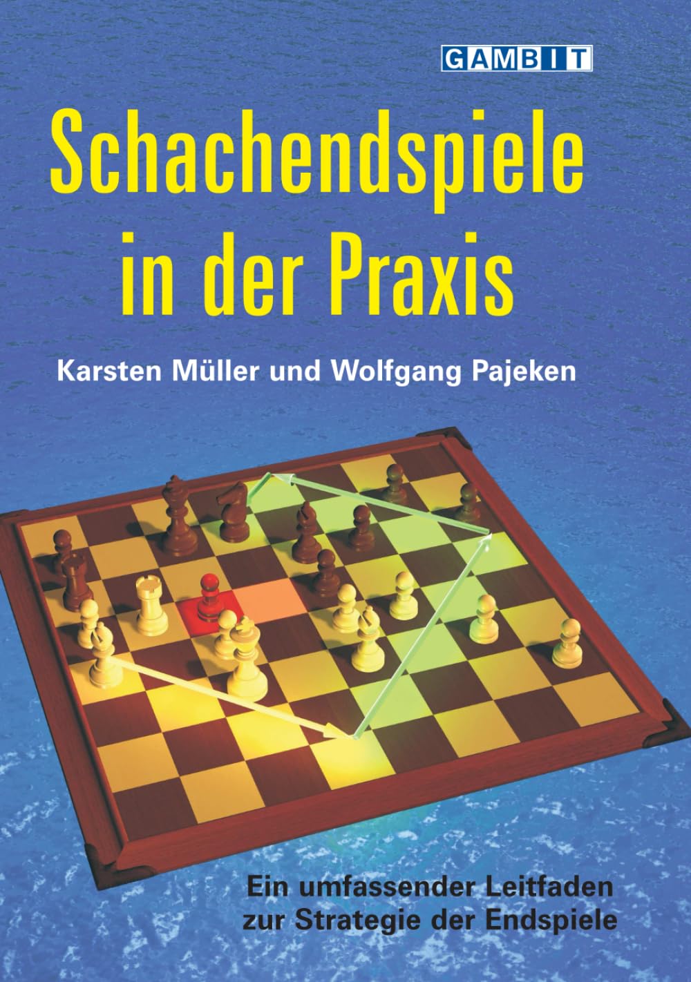 Schachendspiele in der Praxis