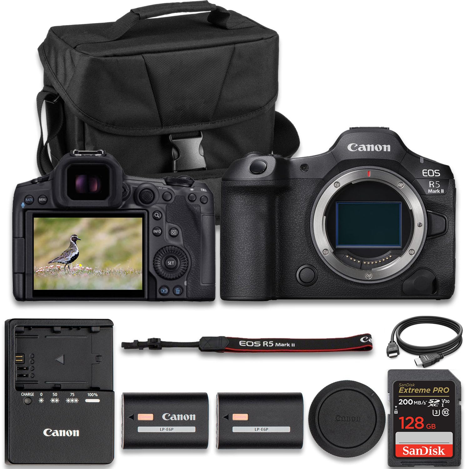 Amazon.com : Canon EOS R5 Mark II Mirrorless Camera | USA Model