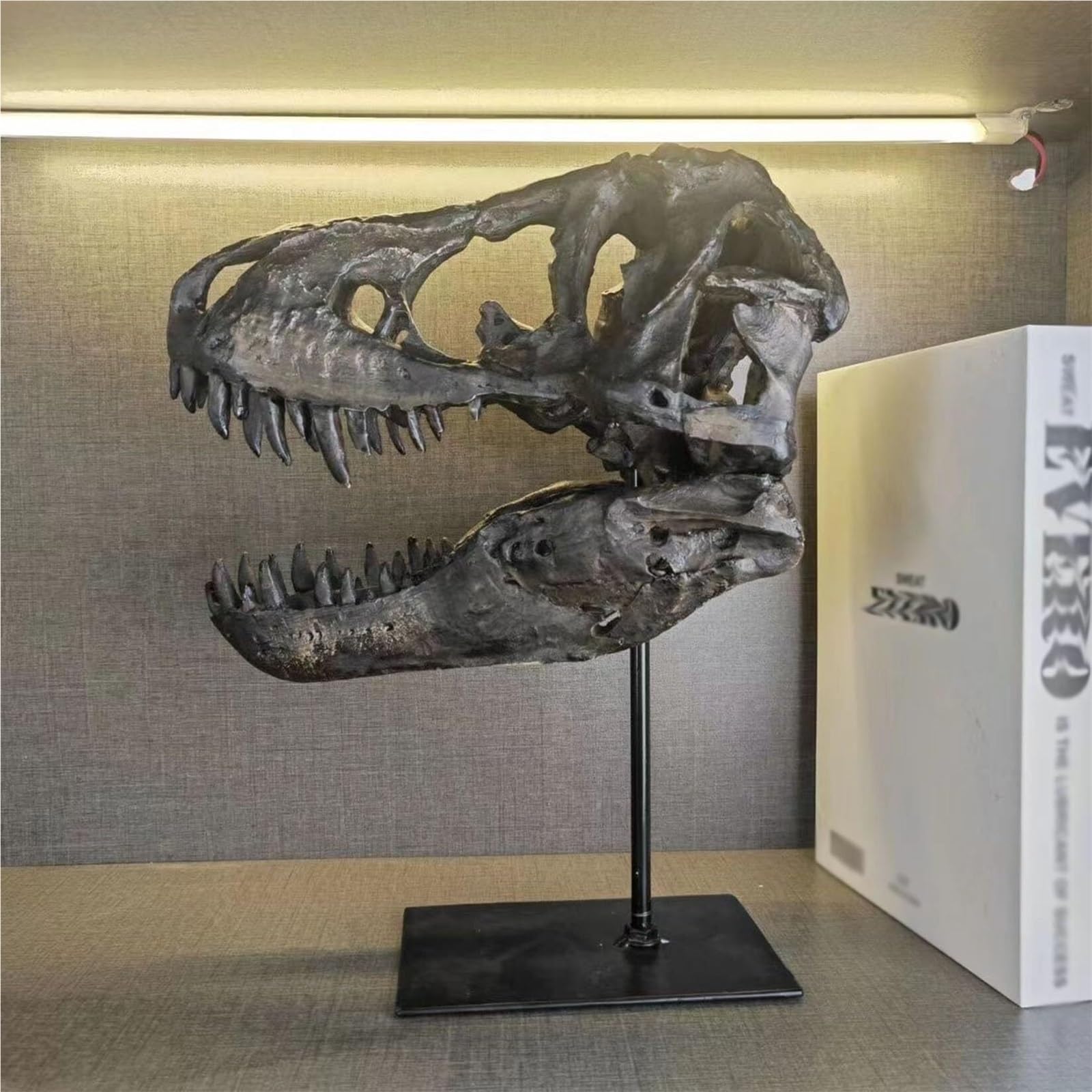 Dekoracja pomieszczenia model czaszki dinozaura ze stojakiem, skamielina, archeologia, rzemiosło, rekwizyt do nauki, zabawne akcesoria na biurko