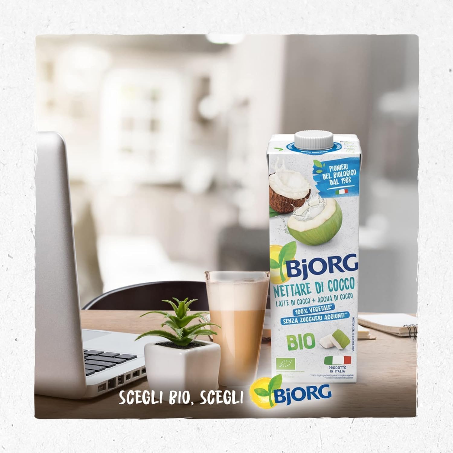 BJORG Bevanda Nettare di Cocco Biologica, Acqua di Cocco e Latte di Cocco, Bevanda Vegetale Senza Zuccheri Aggiunti, Senza Glutine, Vegan, Prodotto in Italia, 12 x 1L