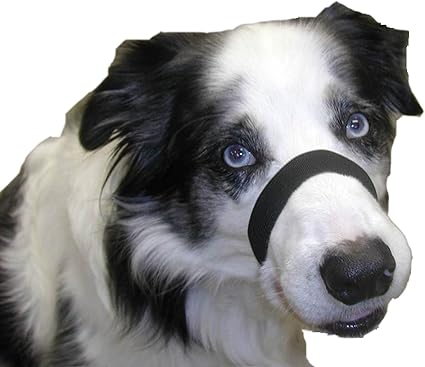 quiet dog muzzle