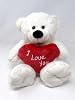 White Teddy Bear holding Red Heart with