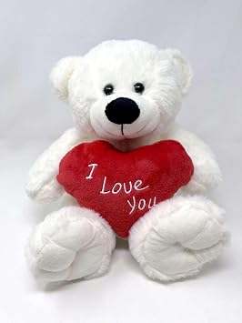 White Teddy Bear holding Red Heart with "I Love You" written on it | Gift Ideas for Girlfriend | Wife | Birthday | Valentine's Day | Christmas | Anniversary White, 10.5"