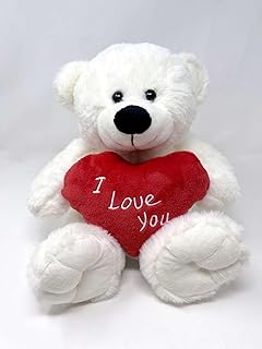White Teddy Bear holding Red Heart with "I Love You" written on it | Gift Ideas for Girlfriend | Wife | Birthday | Valentine's Day | Christmas | Anniversary (White, 10.5")