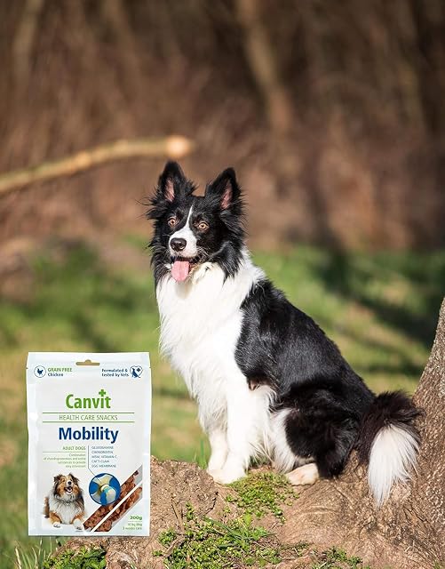 Foto 8 de 8 de Canvit Recompensa de movimiento saludable para perros, 200 g