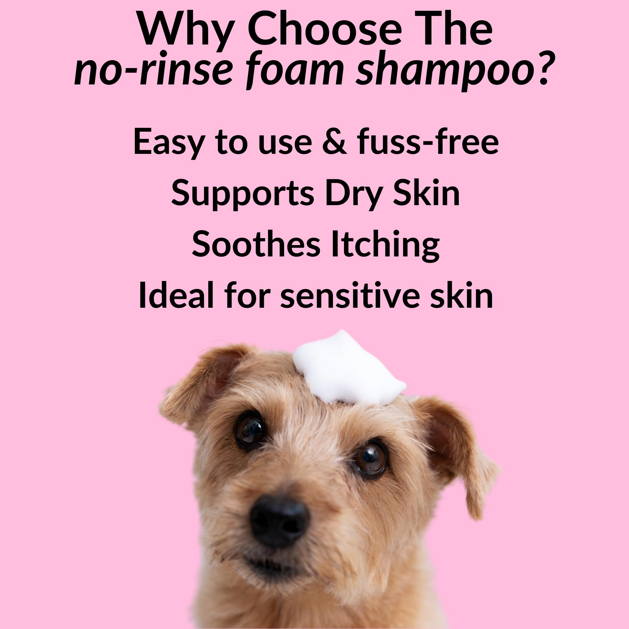 NutriPaw No-Rinse Shampoo for Dogs, Clean, Moisturise, Refresh, & Support Dry Skin, Unique Formula for Nourished Skin & Coat - Image 2