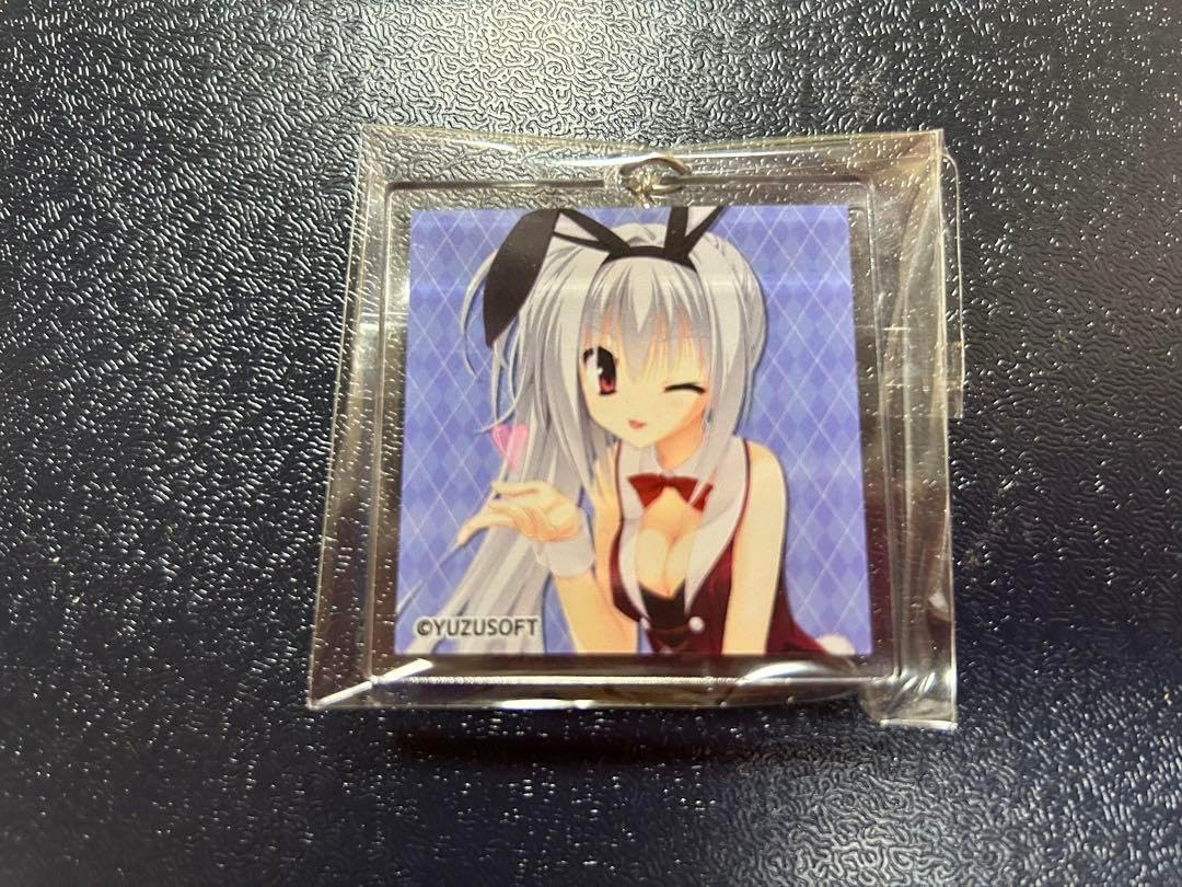 ドラクリオット！ エリナ アクリルキーホルダー ゆずソフト ゆずソフト