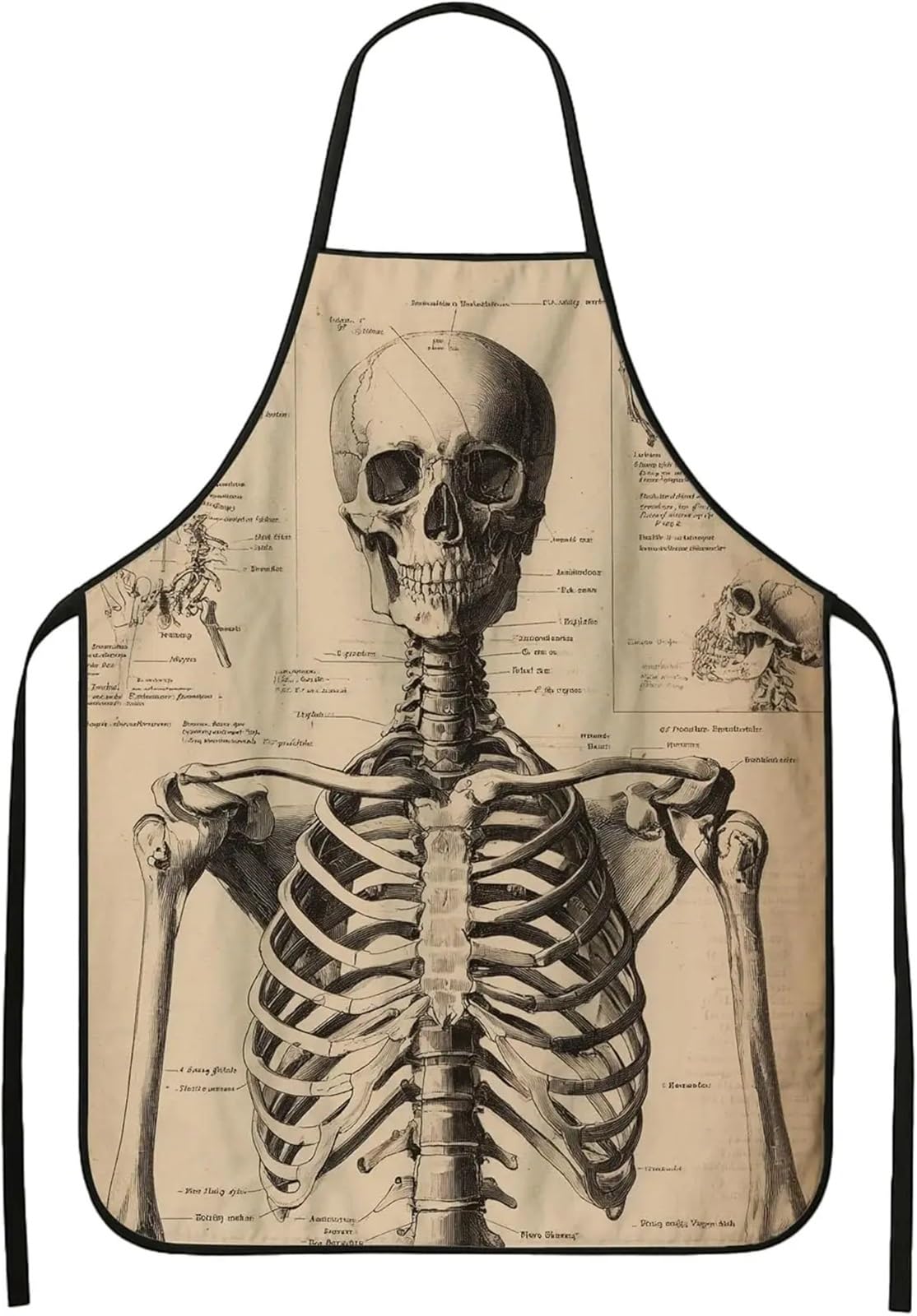 Delantal de alta resistencia Delantal de cocina con diseño esqueleto, calavera anatómica vintage, estilo retro médico, lavable