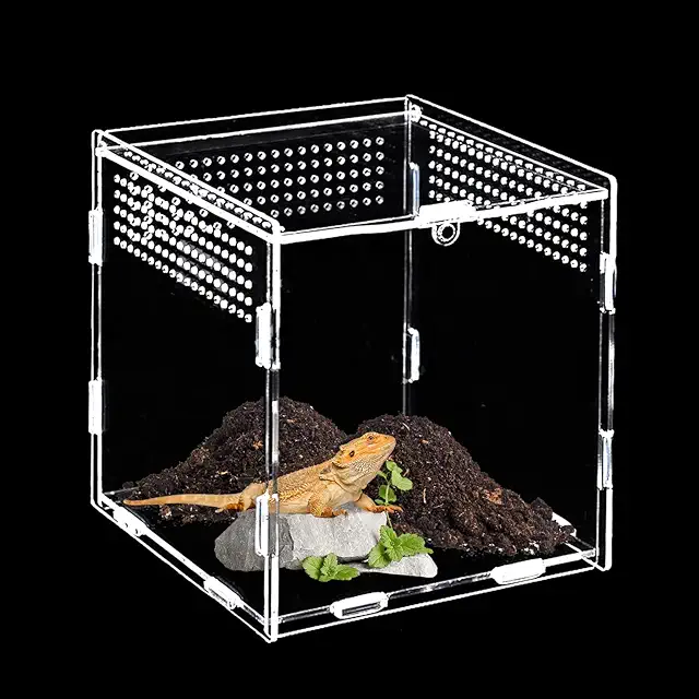 Springspin Terrarium 15x15x15cm - Mini Acrylic Habitat for Spiders, Reptiles & Snails