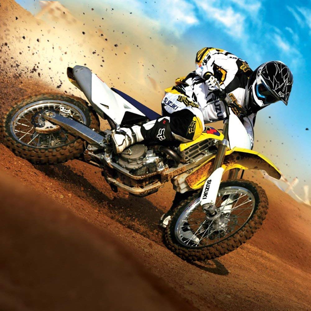 Lunettes de moto de qualité supérieure - Anti-buée - Anti-UV - Avec double lentille - Rembourrage en mousse - Pour activités de plein air - Ski - Cyclisme - Snowboard - Randonnée - Protection des yeux