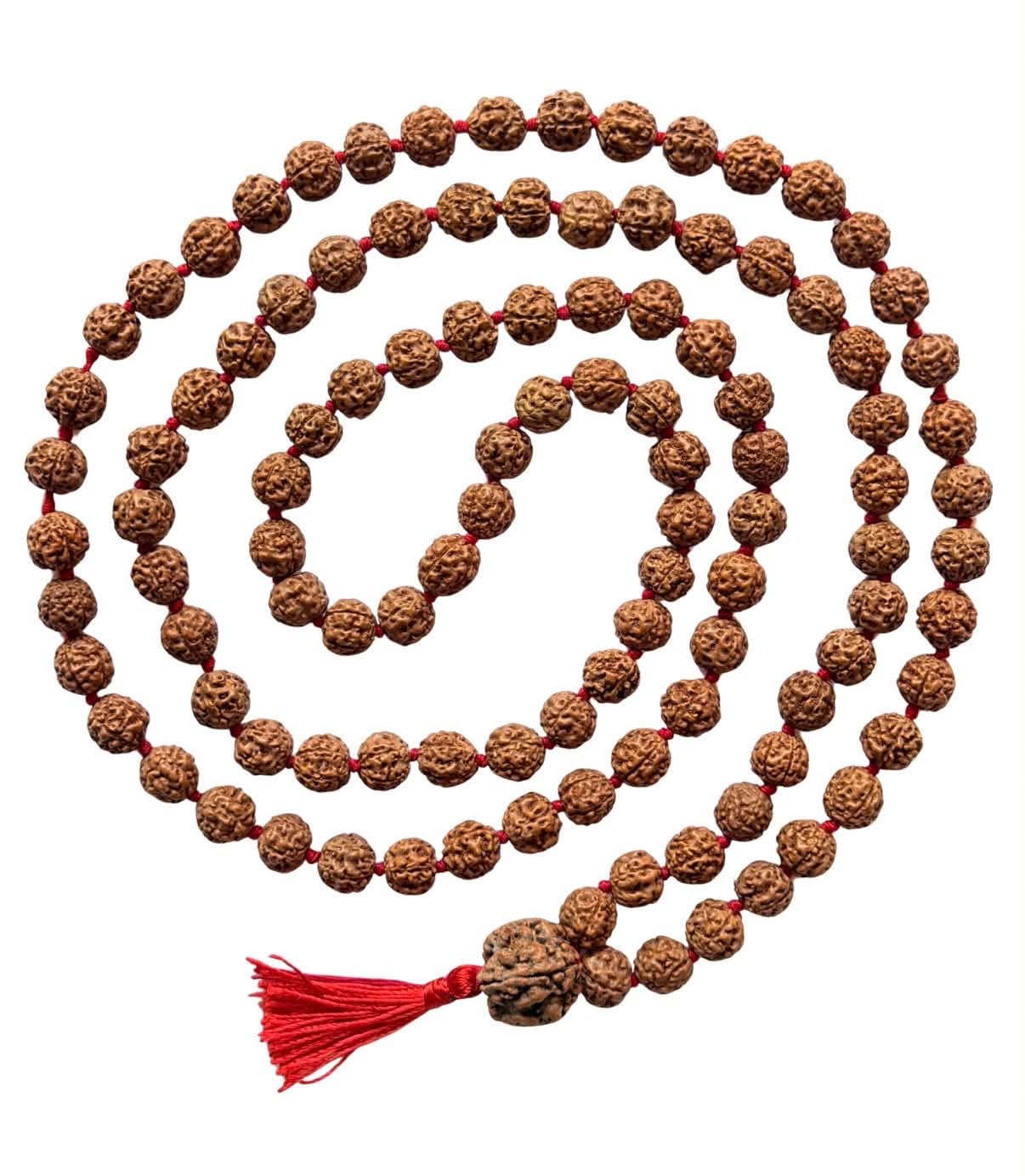 Himalaya Organic Rudraksha Mala with Larger Sizes 16-18mm and 108 +1 Prayer guru Beads Grown in high Himalaya Nepal, Without Chemicals, Wax and Colour Treatment, Good for Puja, Yoga, Meditation.