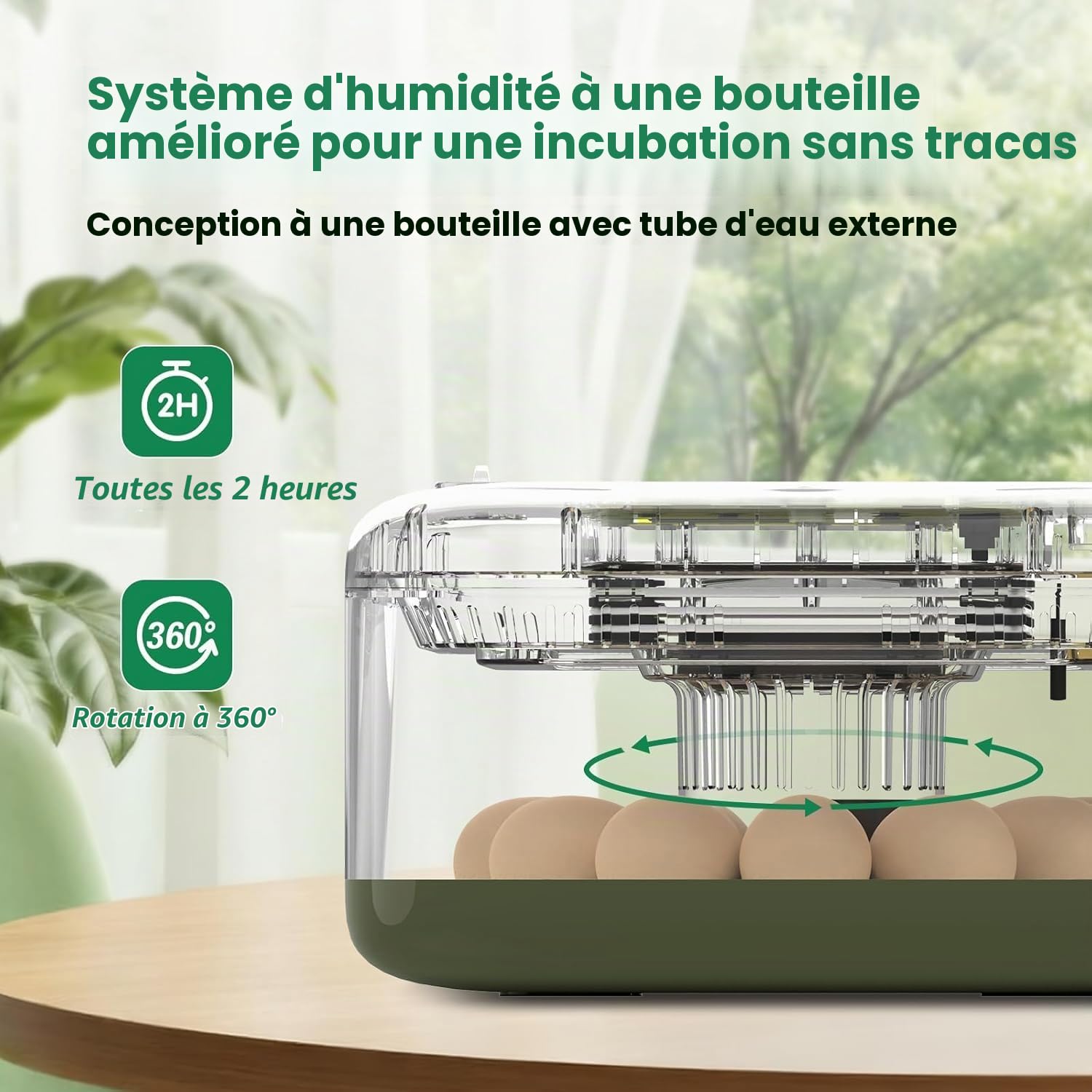 GQF Incubateur pour œufs à couver - Système de capacité d'œufs, retourneur automatique d'œufs (carré) (vert)