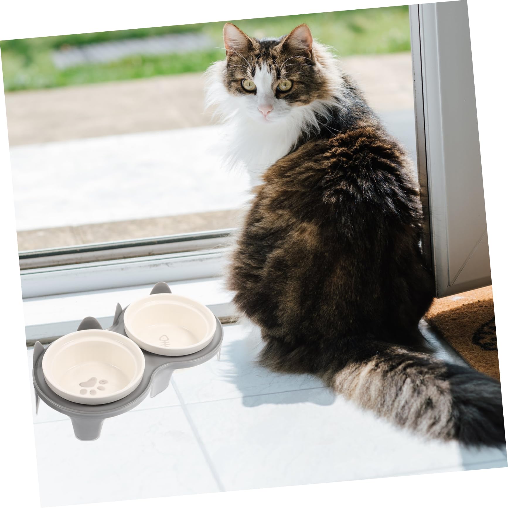 DOITOOL Erhöhter Keramik Katzennapf mit Neigung 2-Schalen Design für Futter und Wasser Abnehmbar für Hund und Katze