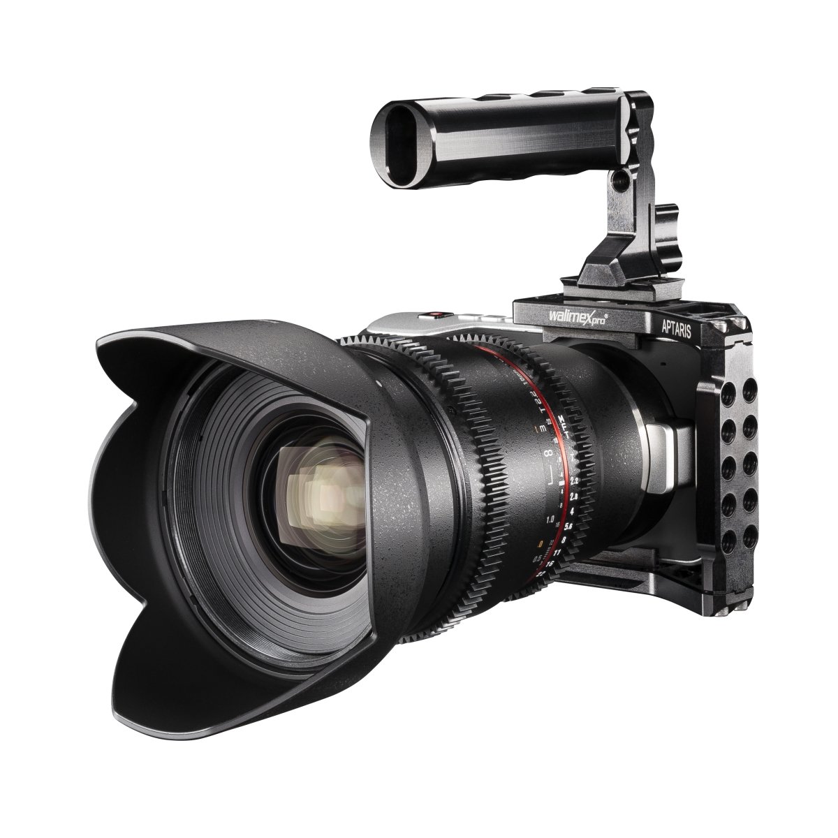 Walimex Pro Aptaris Black Magic Pocket Camera Support cage ajustable pour Caméscope
