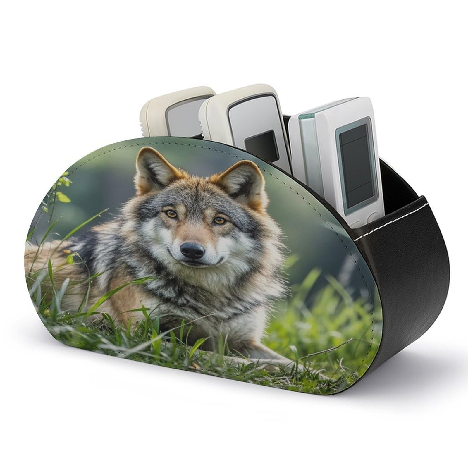 LZQPOEAS Wolf On The Grass Remote Control Holder with 5 Compartments PU Leather Remote Organizer Box Caddy for Table Nightstand Remote Caddy Desktop Organizer Fits Media Controllers