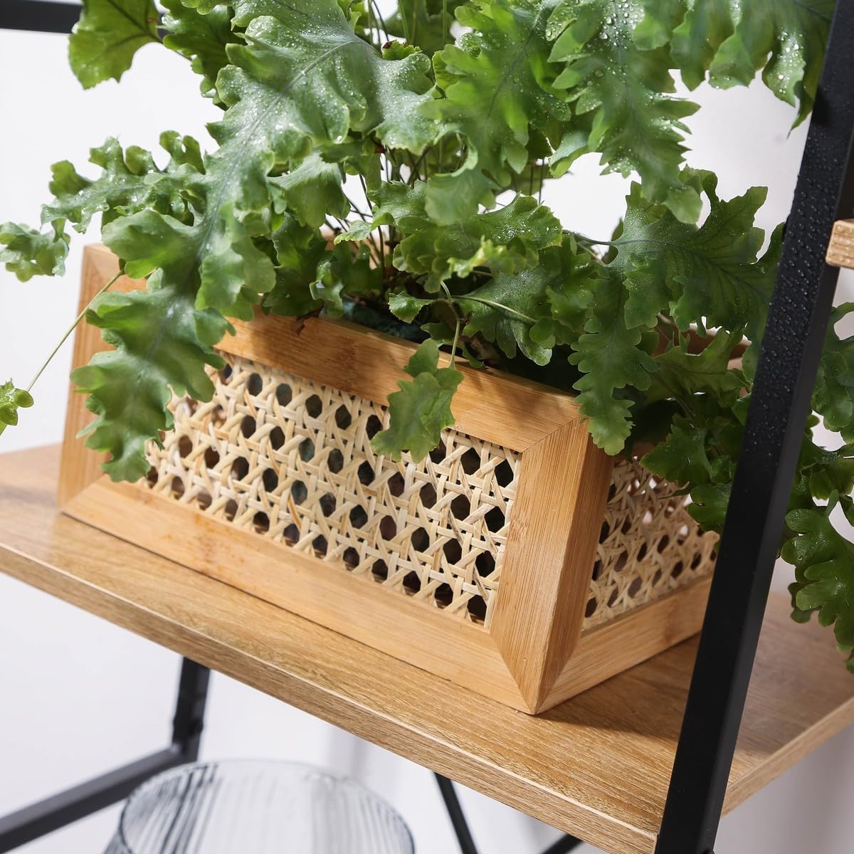 Calicosy Boîte en Bambou et Rotin Petit Modèle - H12 cm - En Bambou - Rangement - Pour Chambre, Dressing - L25 x l18 x H12 cm