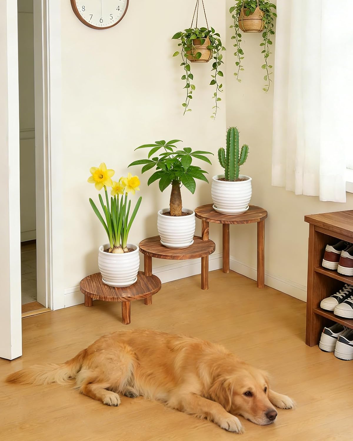 3 Tier Ladder Plant Stand Indoor, Long Plant Shelf for Multiple Plants Deformable Flower Pot Stand, High Low Plant Holder for Patio Balcony Living Room