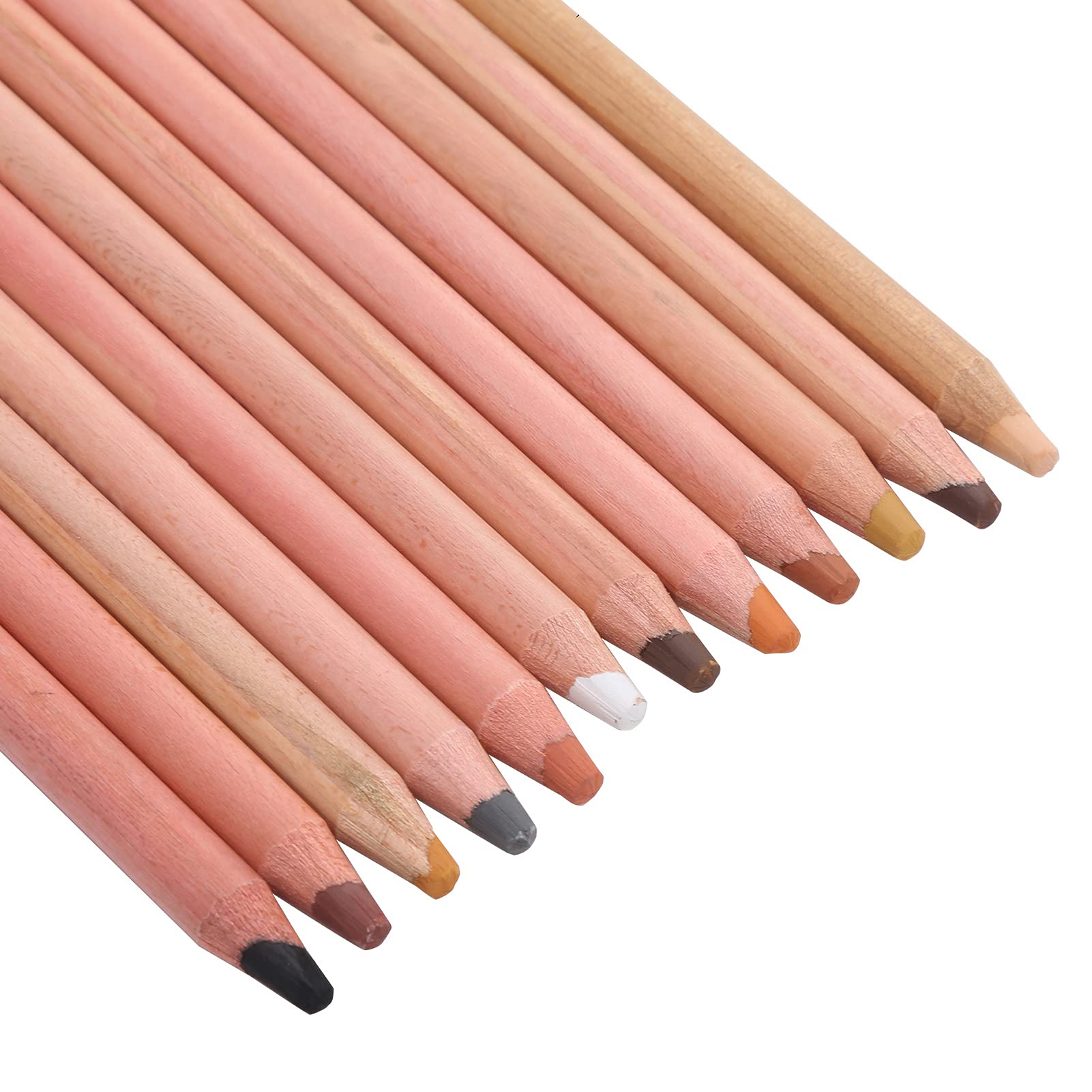 Caran D'Ache Matite Pastello Color Pelle Morbide per Artisti - Set di Strumenti di Pittura per Disegno e Ritratto Toner Dipinto a Mano - 21×11×1