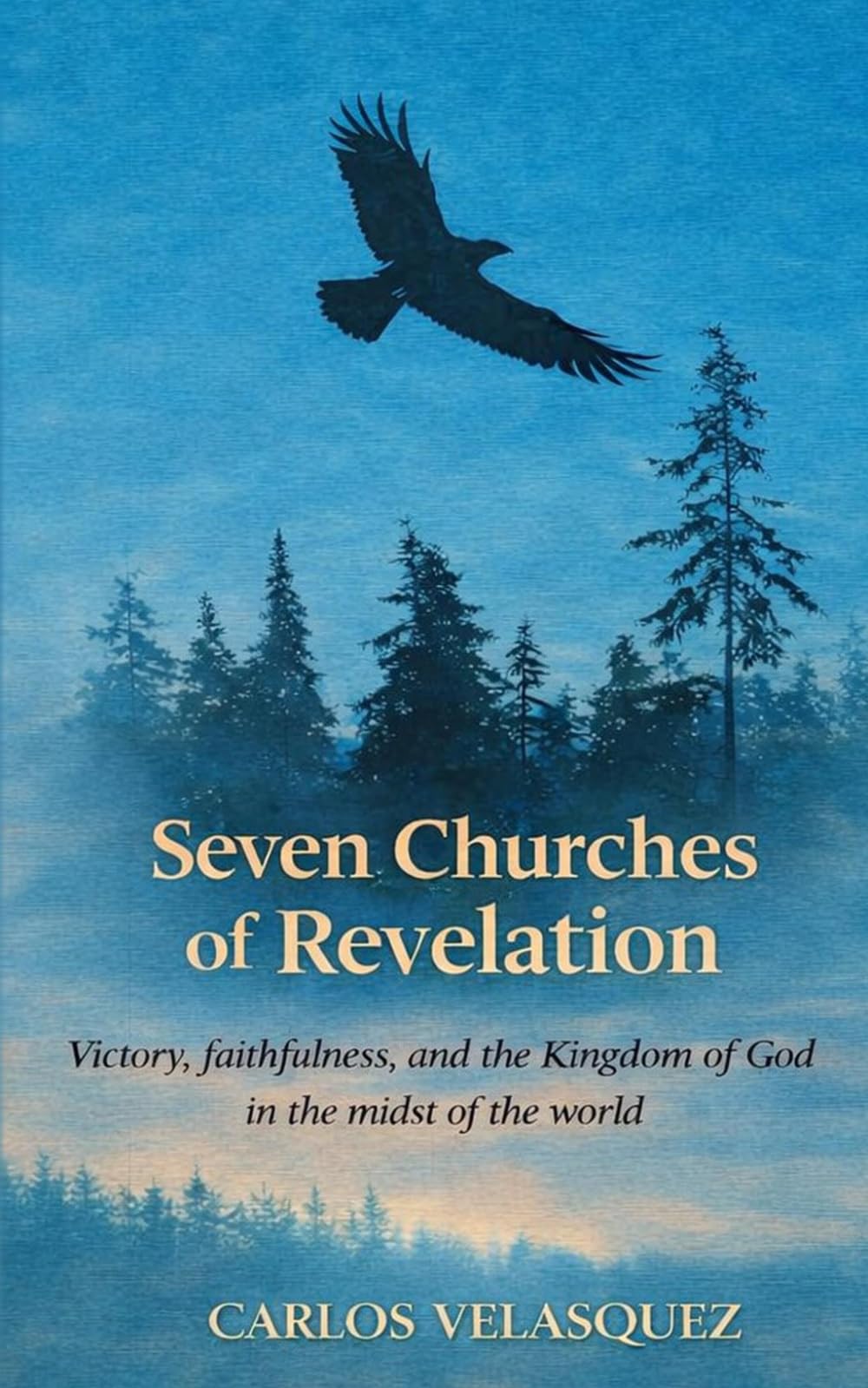 Seven Churches of Revelation: Victory, faithfulness, and the Kingdom of God in the midst of the world