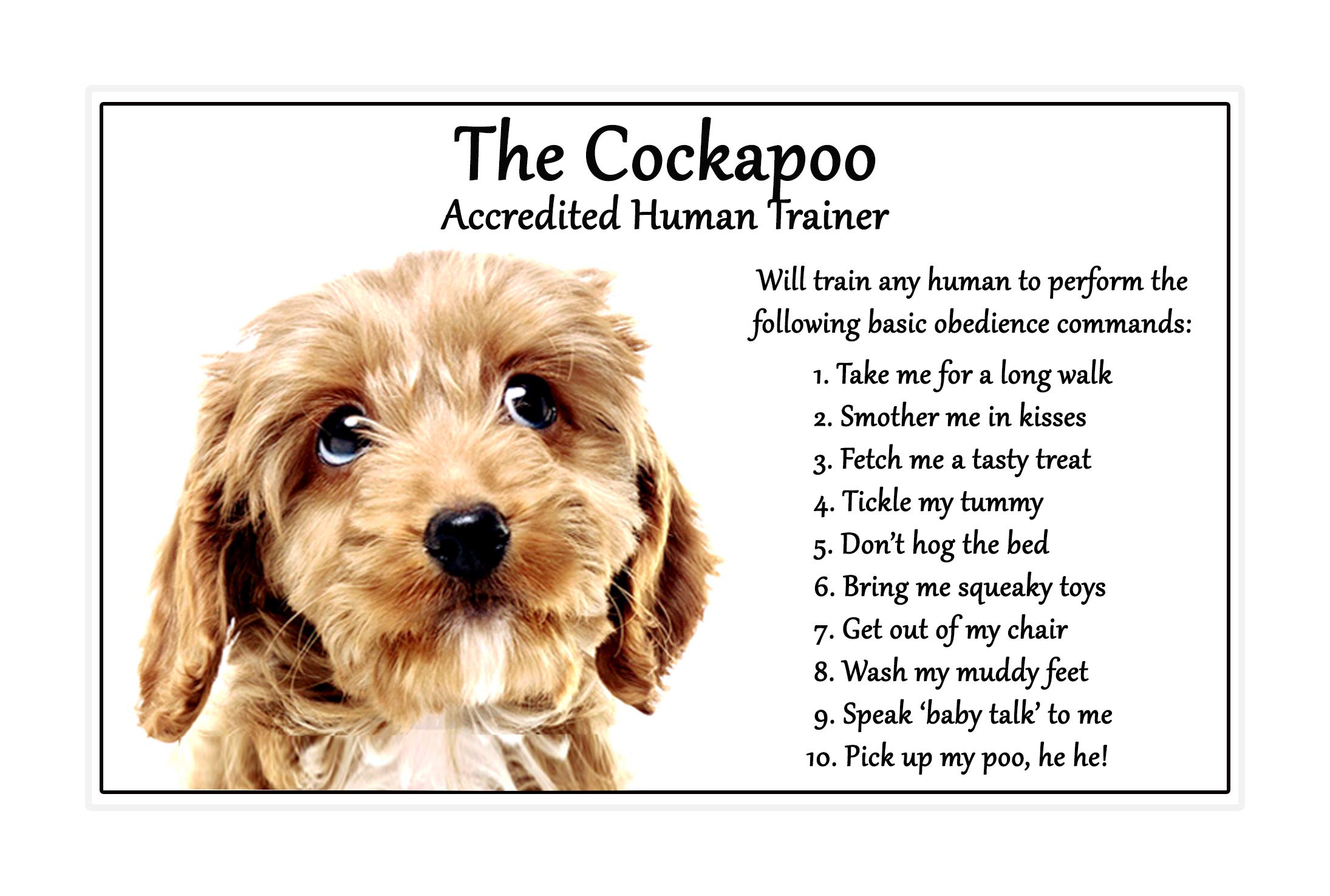Fridge Magnets Multicolor Cockapoo Dog Gift - Accredited Human Trainer Large Fun Flexible Size Approx. 6" X4"