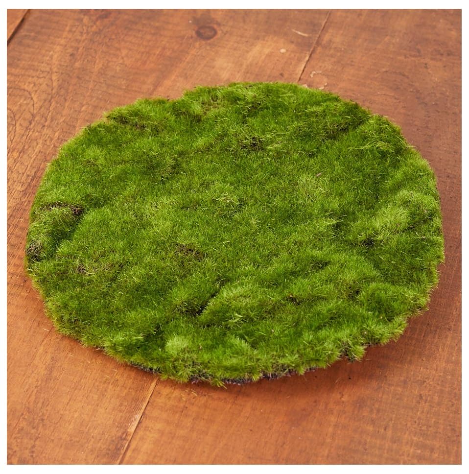 Set of 2 Artificial Round Moss Sheets by Factory Direct Craft for Craft Projects, Fairy Gardens and Displays - 10 Inches Dia Each