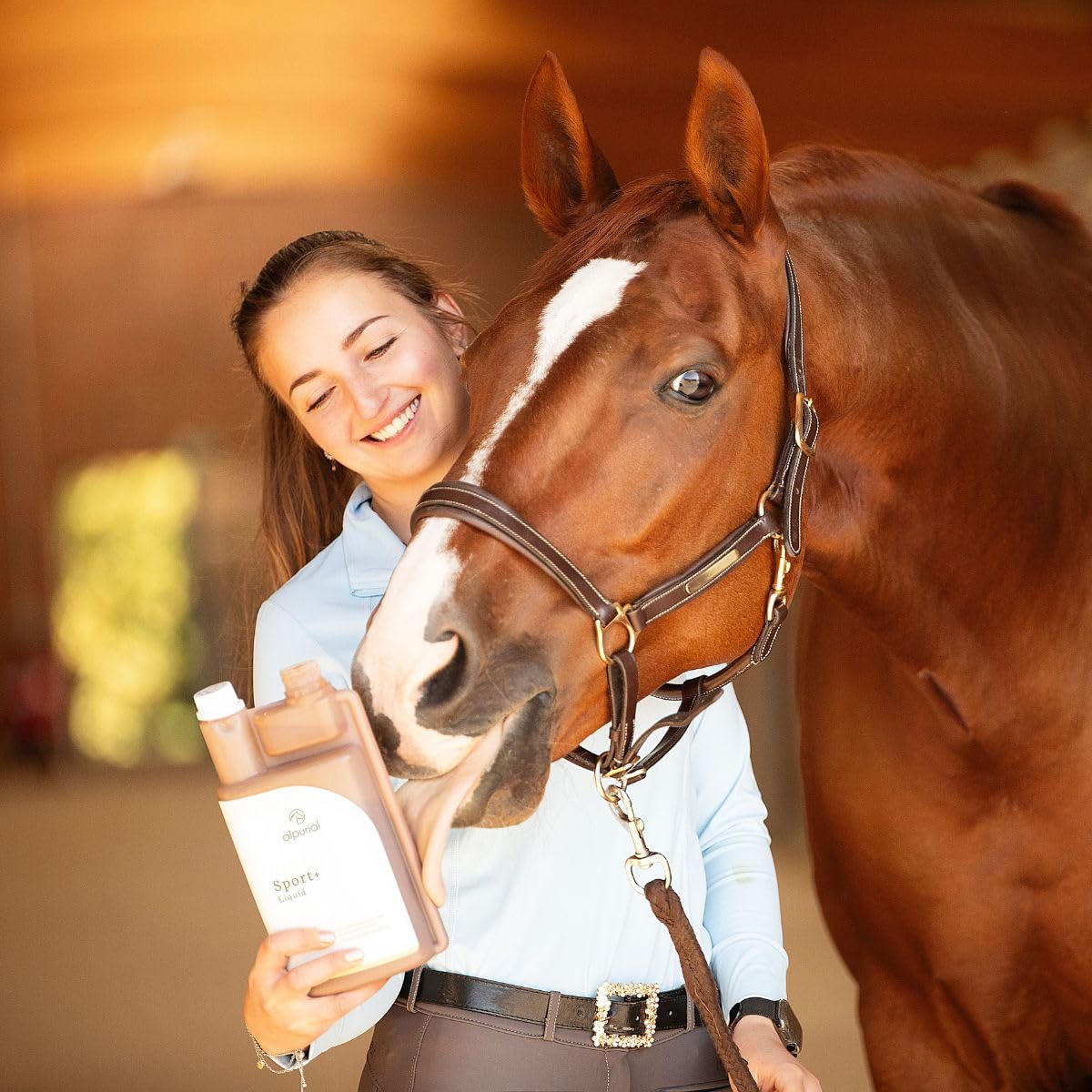 Sport+ diseñado para ayudar con la deficiencia del rendimiento y promover la concentración en el caballo oligoelementos importantes para compensar las deficiencias desarrolladas por el