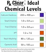 Vista 5 de Rx Clear 7% de algicida de cobre Mata y previene las algas para piscinas en el suelo y sobre el suelo Fórmula segura para nadadores Botellas