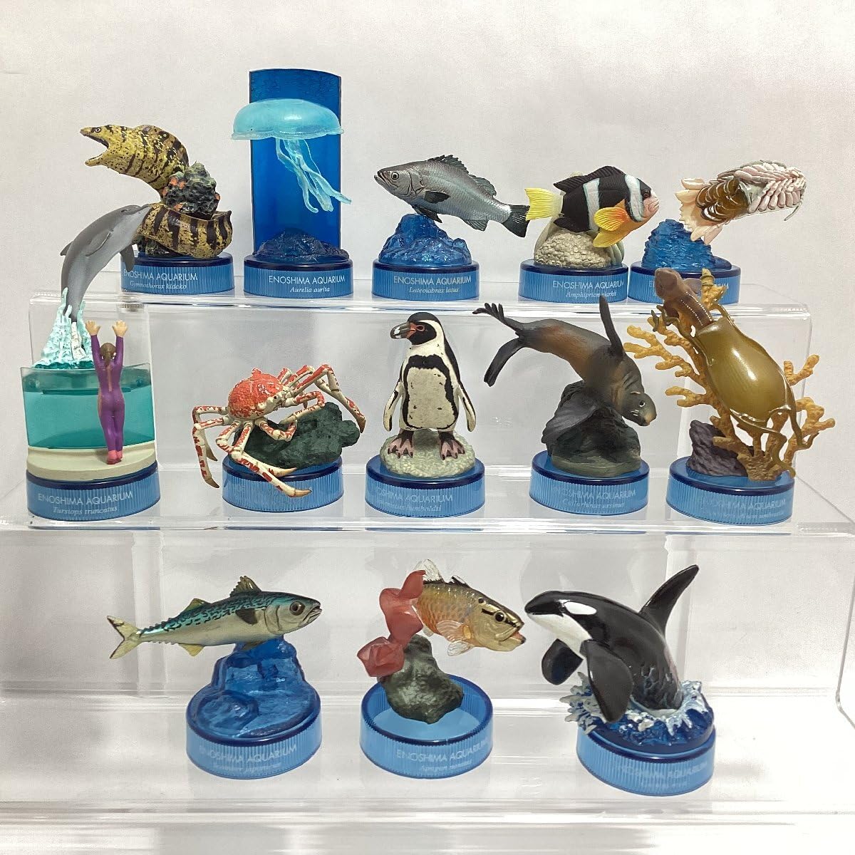 新江ノ島水族館立体生物図録Ⅱ | APPS-BICENTENARIO-PRD-01