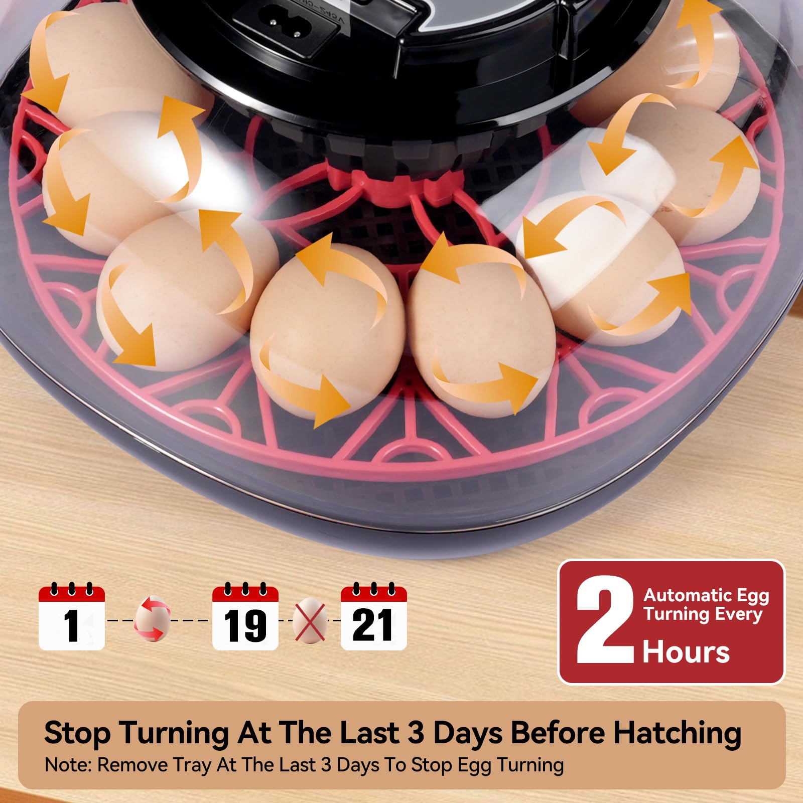 Amazon.com: 12 Egg Incubators for Hatching Eggs, Chicken Egg