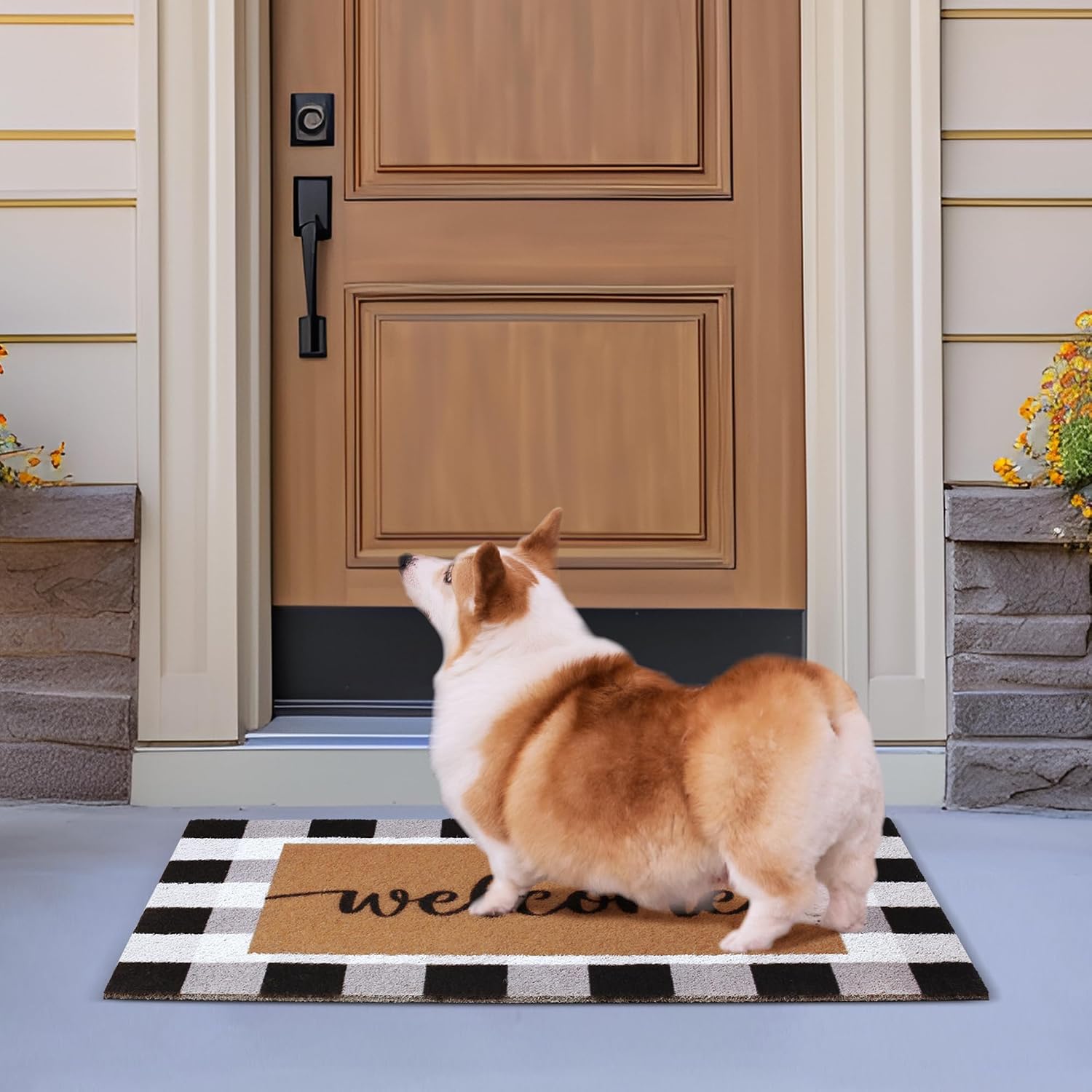 Dripykiaa Welcome Door Mat for Front Door, Buffalo Plaid Rug, 30" x 17", Black and Gray