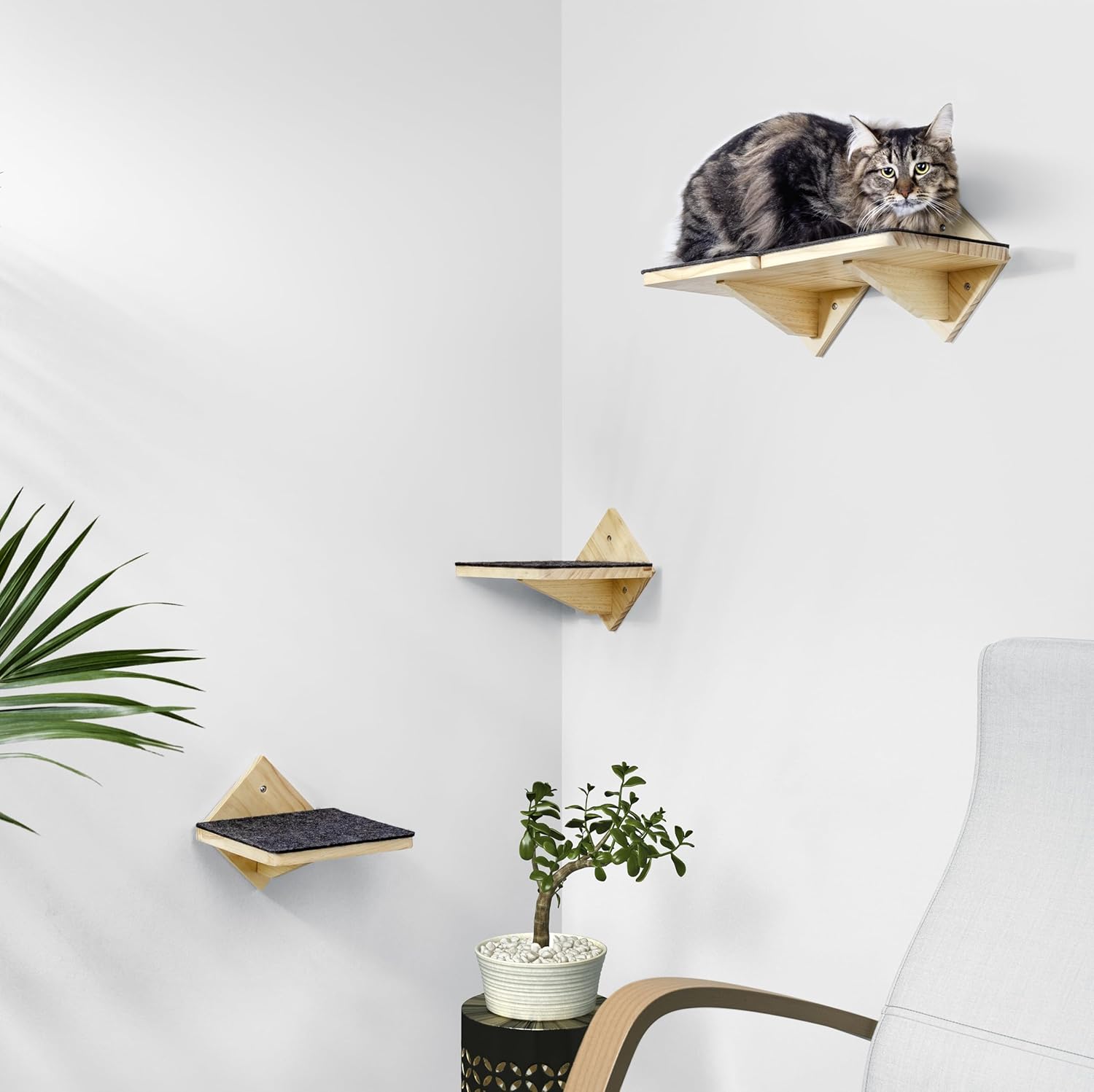 Safe & Sturdy Cat Wall Shelves with Strong Anchors - Set of 4 Large & Versatile Cat Shelves for Wall - Durable Cat Steps to Make a Customized Climbing Wall!