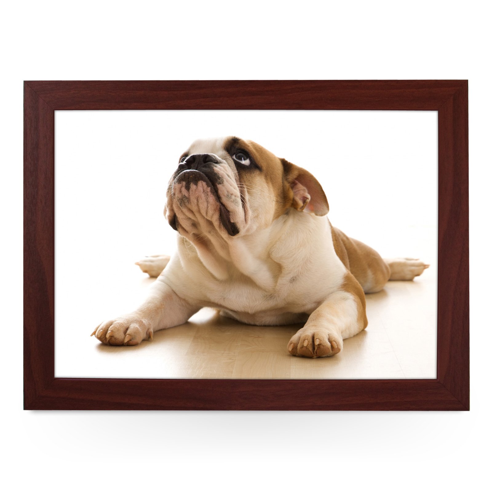 Yoosh Brown Portable Lap Desk Tray (British Bulldog) Handmade Wooden Frame, Beanbag Cushioned Bottom | Computers, Laptops, Meals, Food | L0097