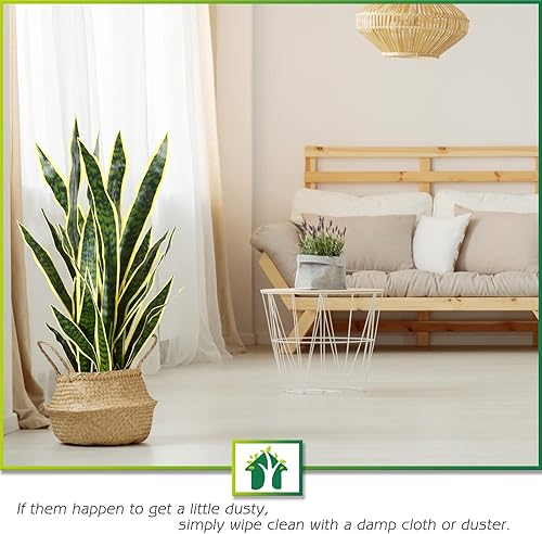 Miniatura 2 de CROSOFMI Higuera artificial de serpiente de 35 pulgadas con mini hoja de violín artificial de 22 pulgadas para decoración de interiores, entrada al