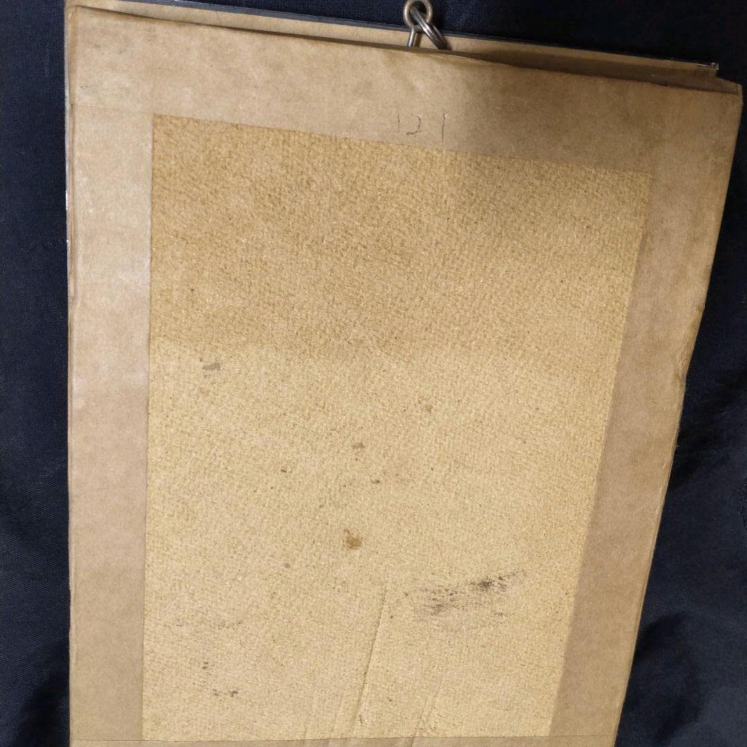 ワニとサソリの剥製セット Amazon | サソリ蠍標本 剥製 スマトラ島産 taibot最大 骨董 コレクター