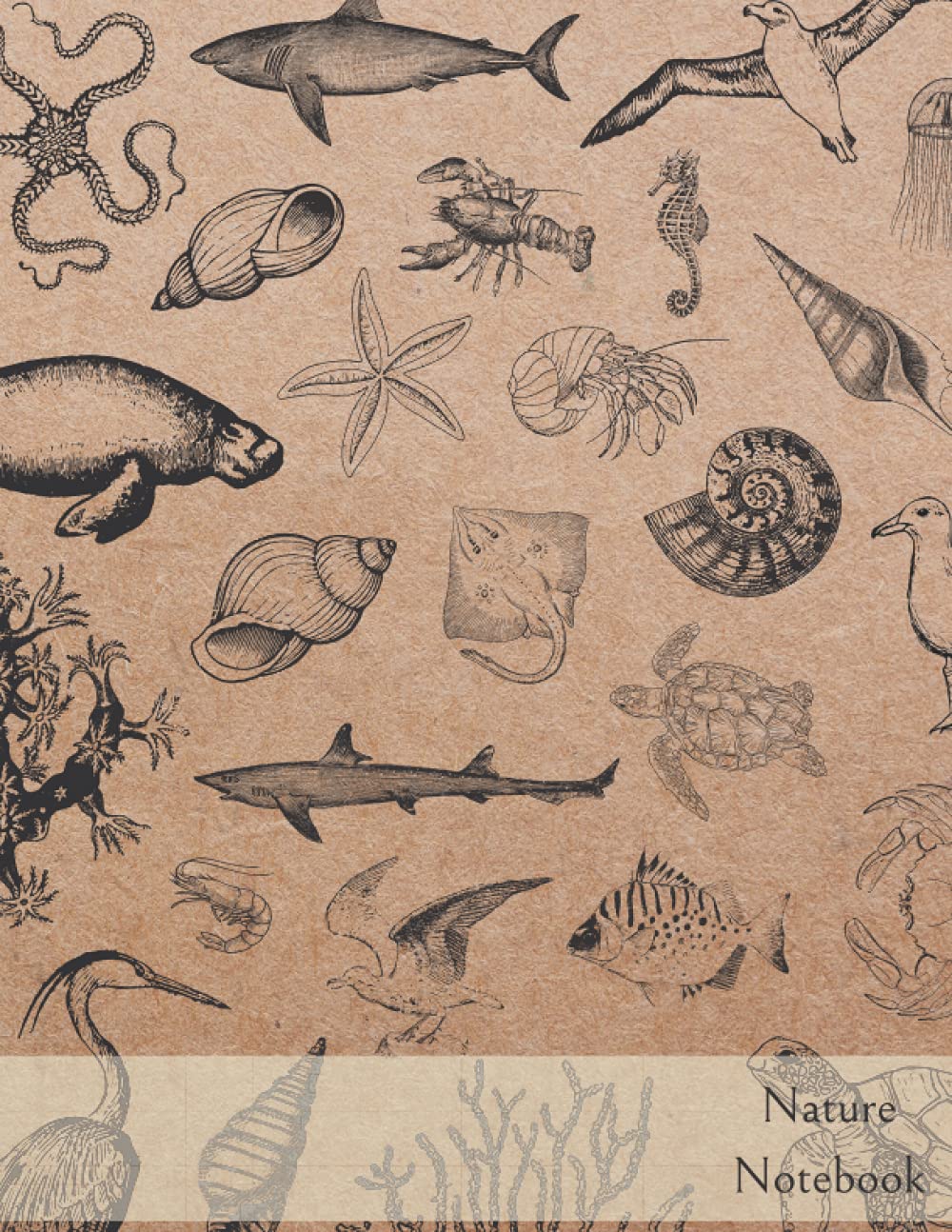 Nature Notebook: seaside creatures | 8.5x11 | half blank half lined pages for drawing and field notes |