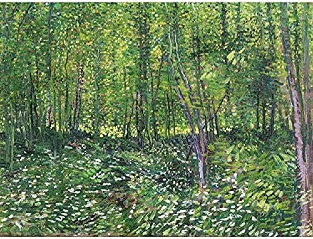 Vincent Van Gogh Trees And Undergrowth Unframed Wall Art Print Poster Home Decor Premium