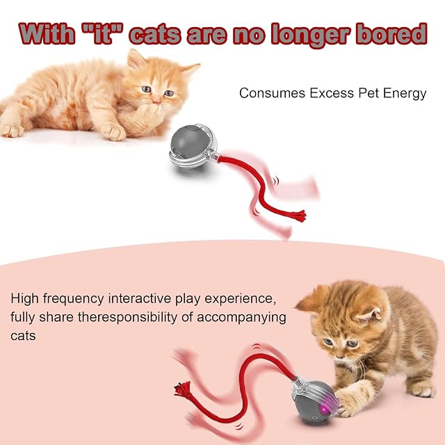Foto 4 de 6 de KQLHLHDYZ Juguete interactivo para gatos, juguete inteligente para gatos con sensor de movimiento
