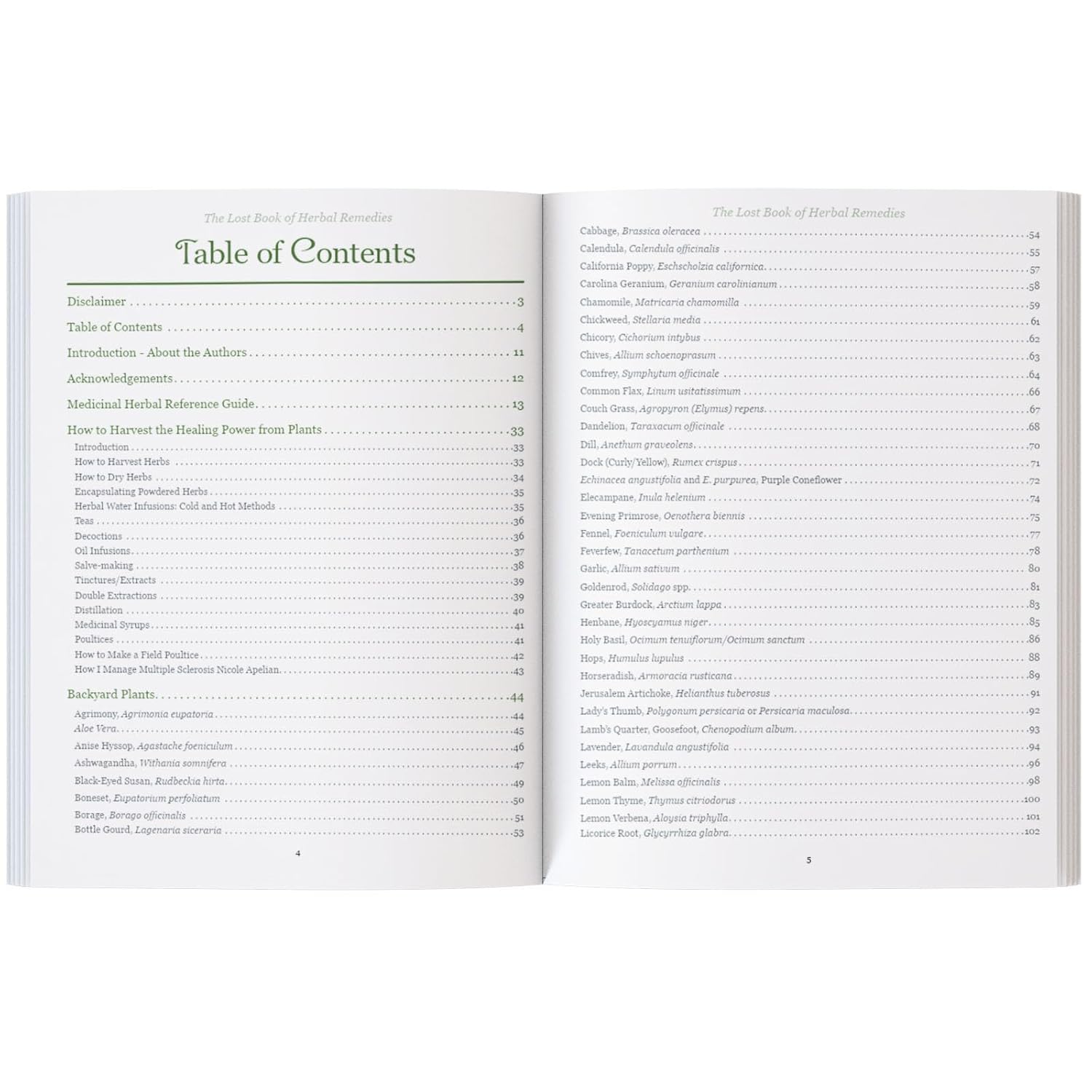 The Lost Book of Herbal Remedies      Standard Edition