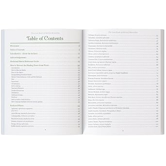 The Lost Book of Herbal Remedies