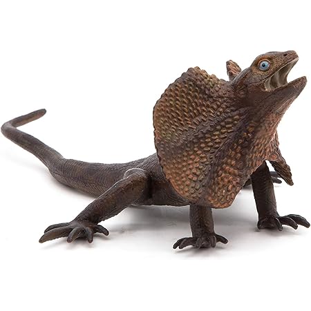 lizard with a collar