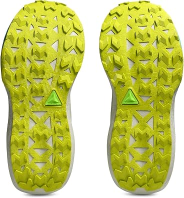 ASICS Men's Trabuco Max 5 Running Shoe