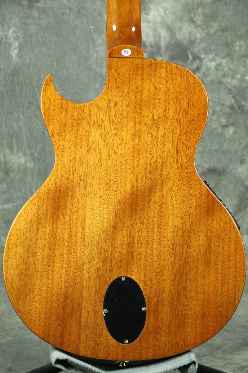 Amazon | WASHBURN (ワッシュバーン) エレアコギター FESTIVAL EACT42S 