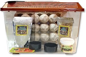 Jungle Bob's Escape-Proof Dubia Roach Keeper Kit