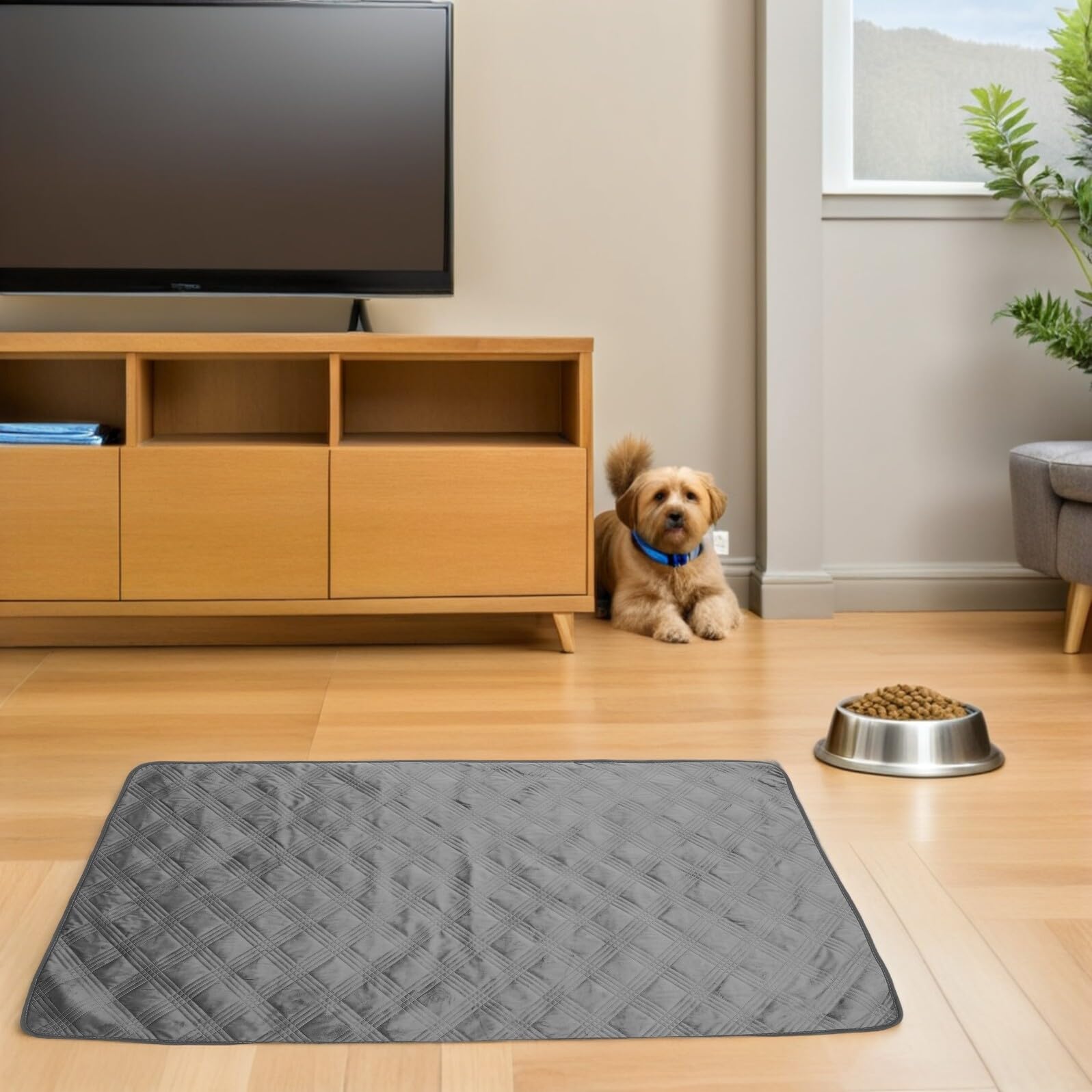 Manta para Mascotas 90X160 CM Funda Antideslizante para Sofá y Cama Color Gris Oscuro Resistente a Derrames y Arañazos Adecuado para Perros y Gatos Fácil Limpieza