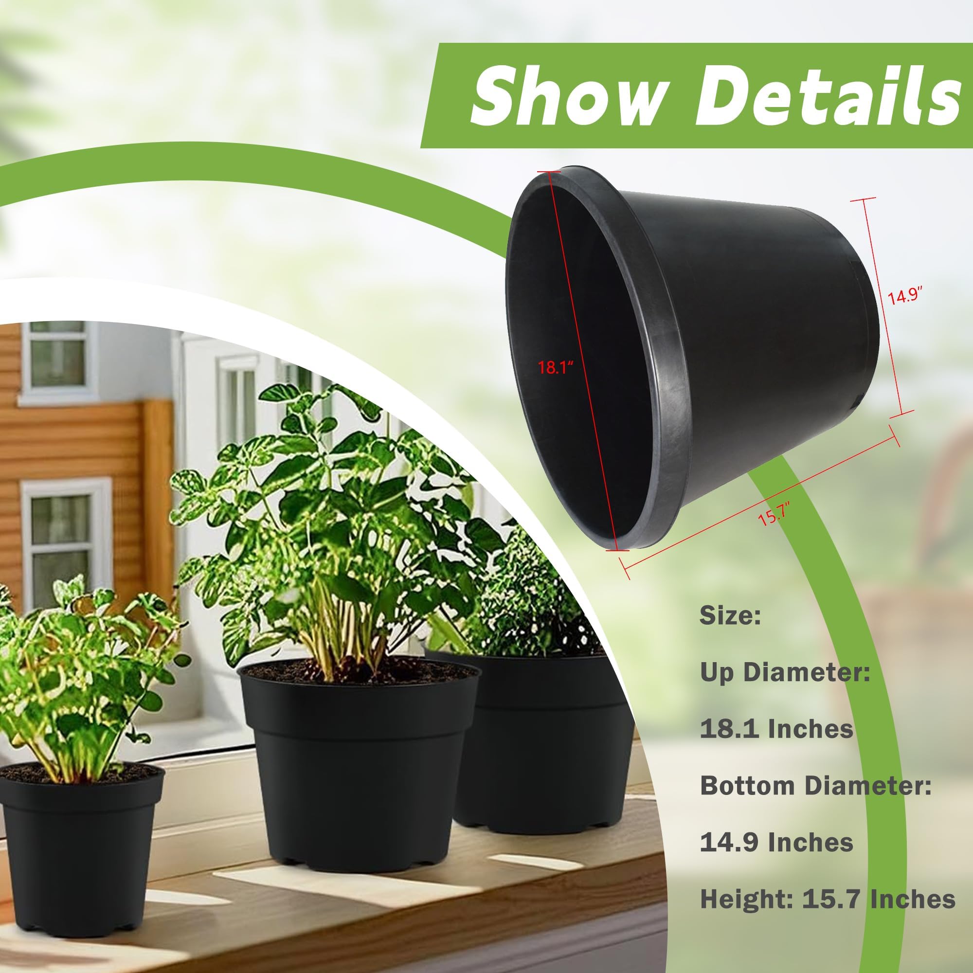 ace of spade anthurium Anthurium Ace of Spades X FSRL أنثوريوم هجين – NABAT