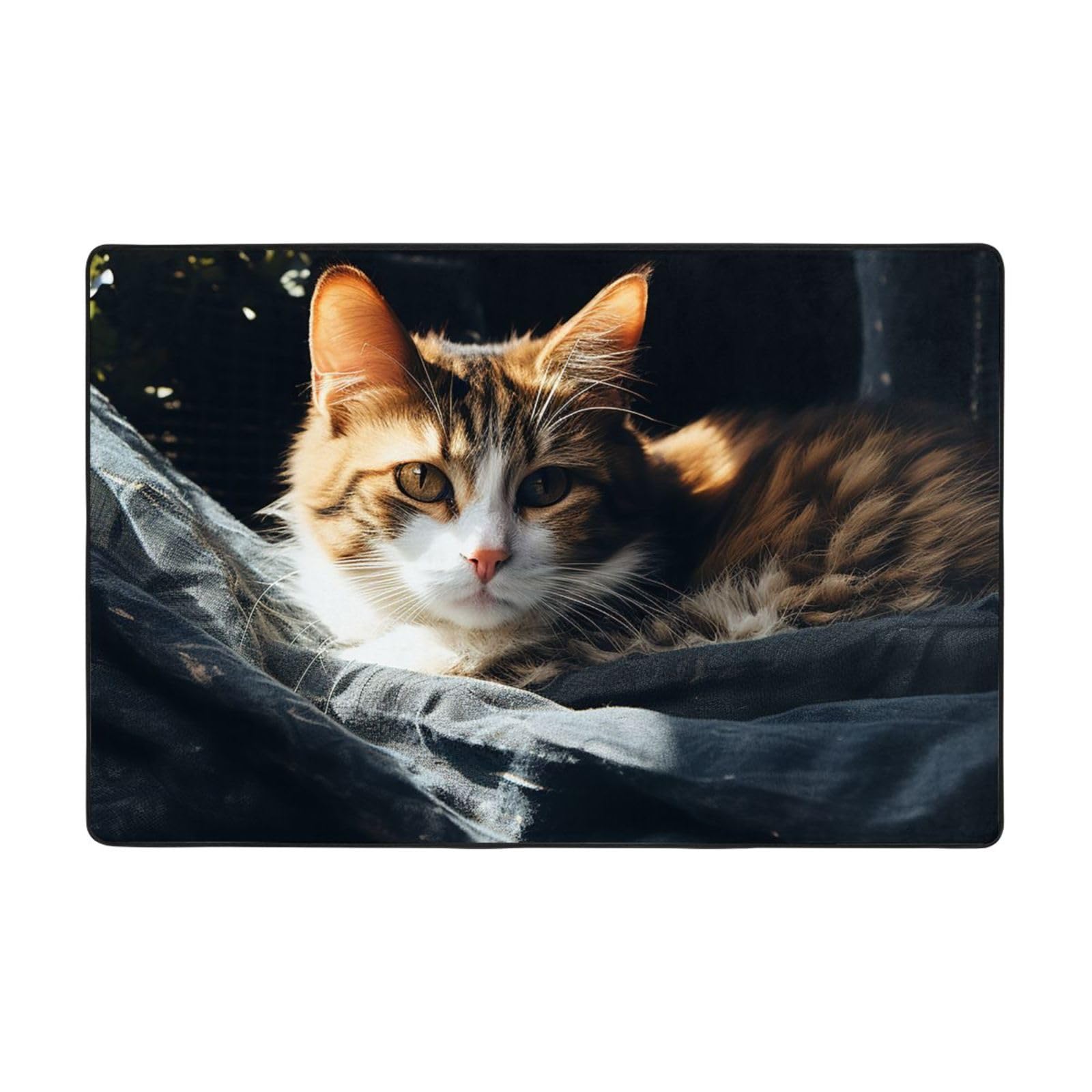 Tapis de sol vintage pour salon au tissage traditionnel